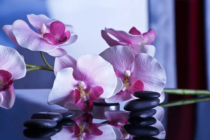 Flower and stones used in hot stone massage on a table - Massage in Pokhara Nepal