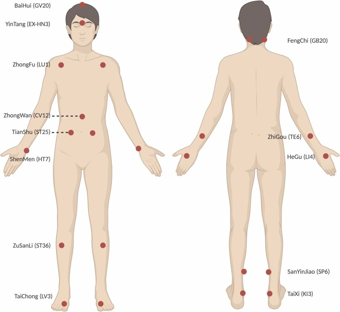 Common Acupressure Points
