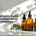 Detailed guide to essential oils in aromatherapy