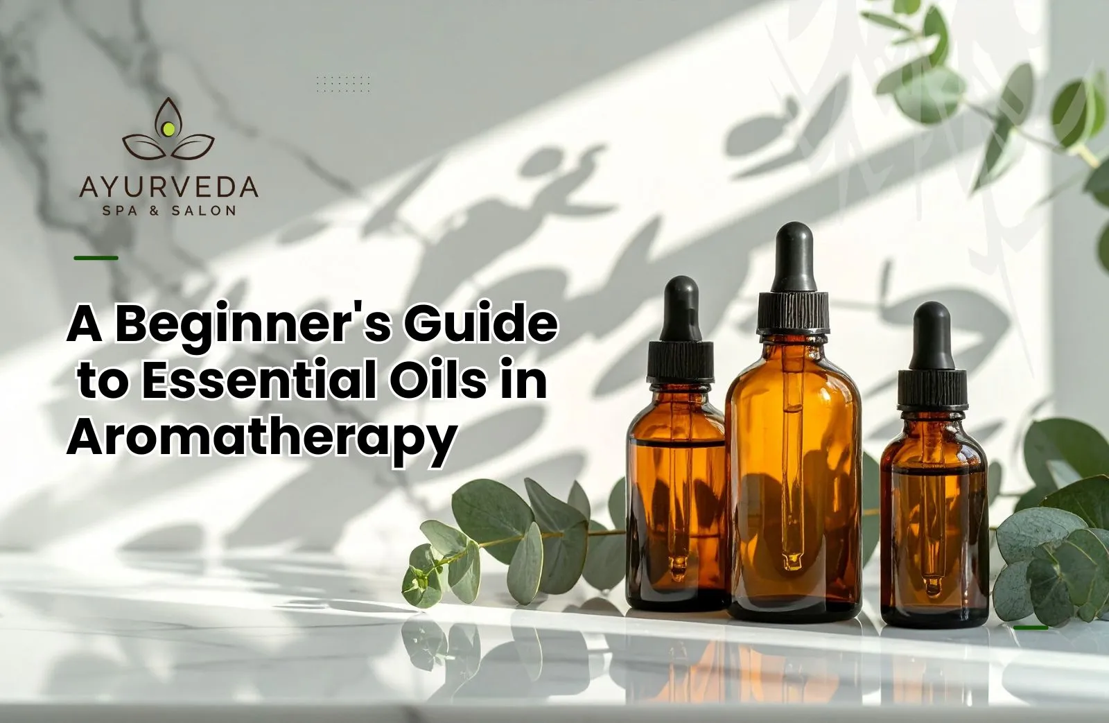 Detailed guide to essential oils in aromatherapy